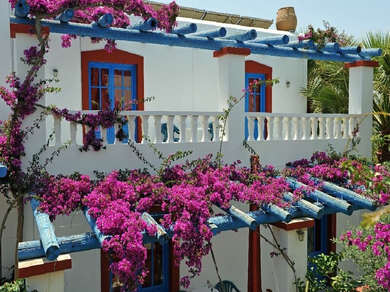 Bougainvillea-covered house