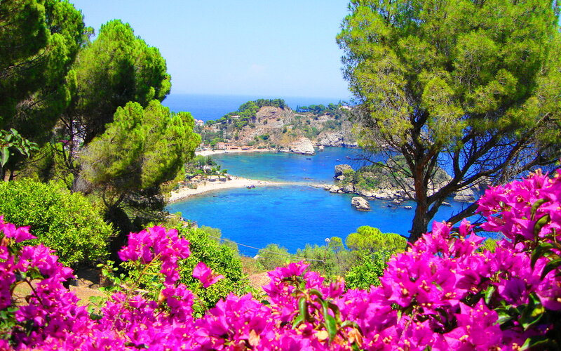 Bougainvillea Flowers and Bay — Pink
