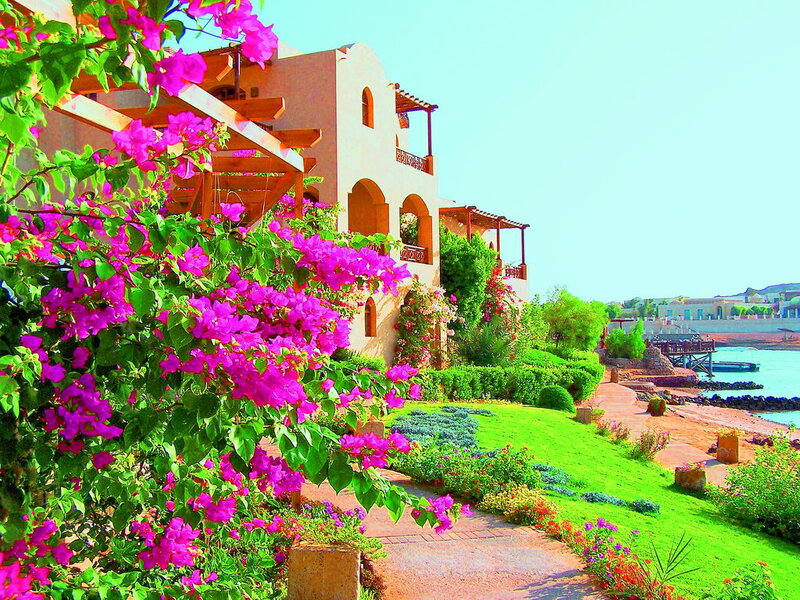 Bougainvillea Flowers and Resort