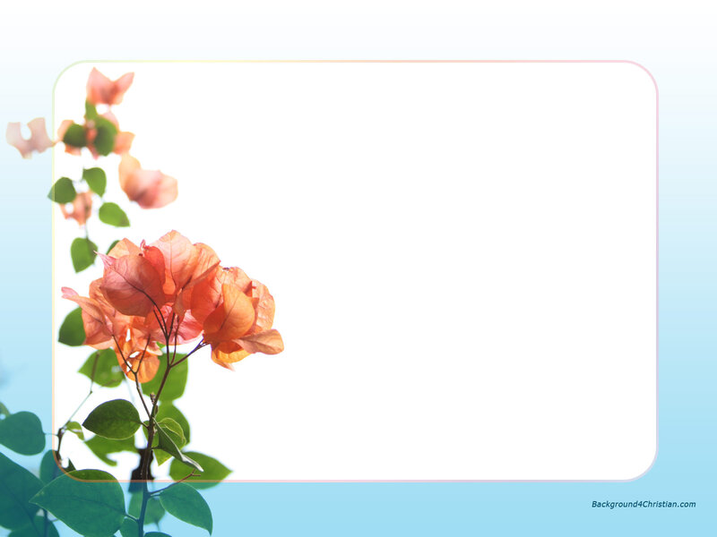 Bougainvillea Flowers — Blue, Serene