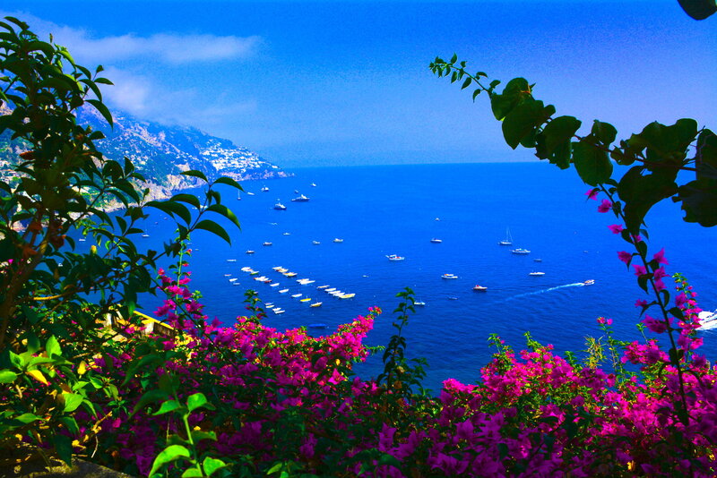 Bougainvillea Flowers Overlooking Sea — Blue