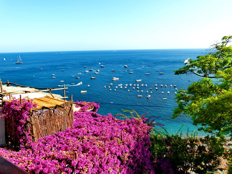 Bougainvillea Flowers Overlooking Sea — Purple