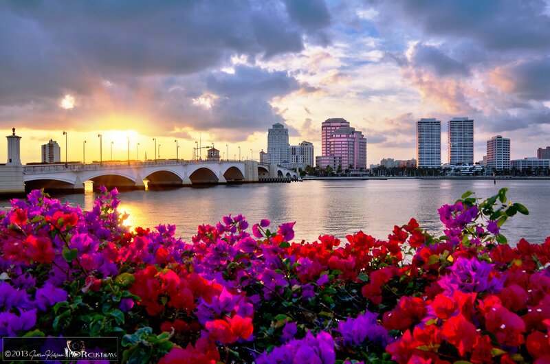 Bougainvillea Flowers — Purple, Dramatic