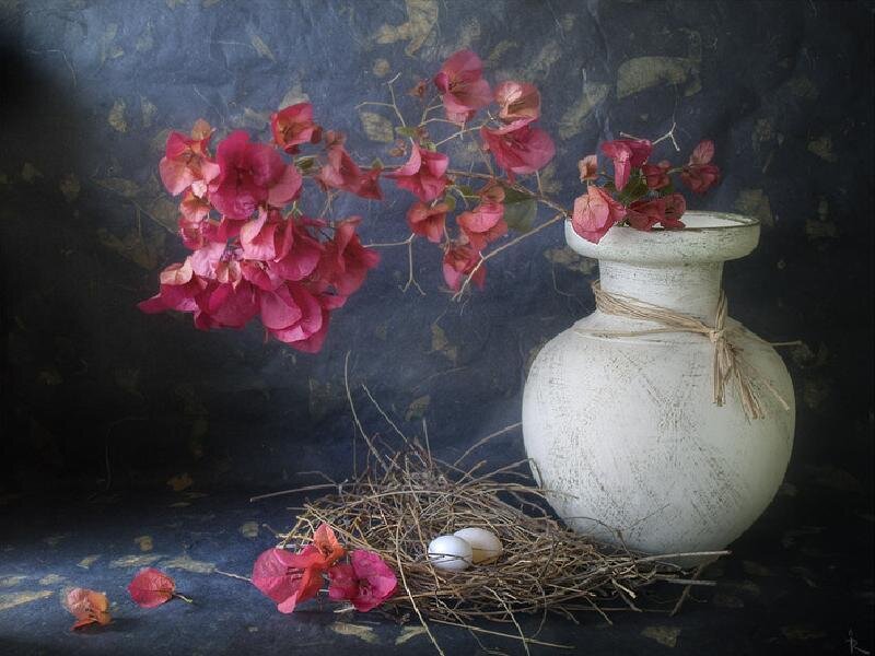 Bougainvillea in a white vase