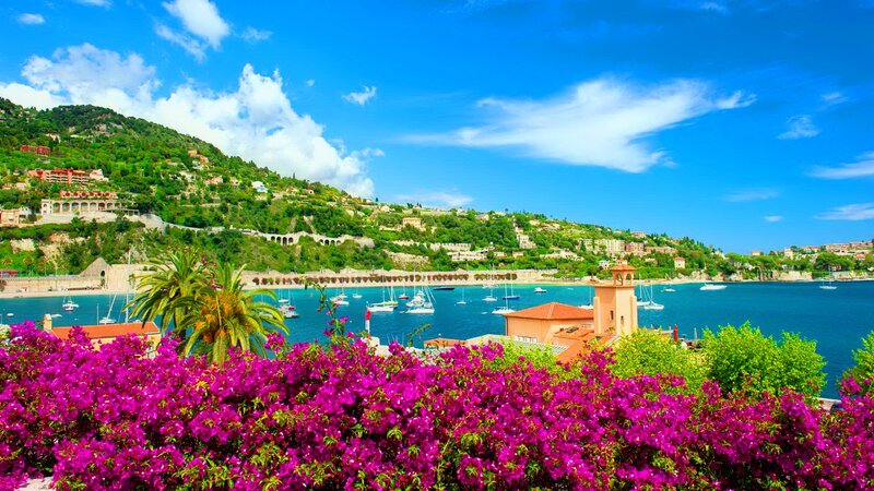 Bougainvillea in Front of Bay