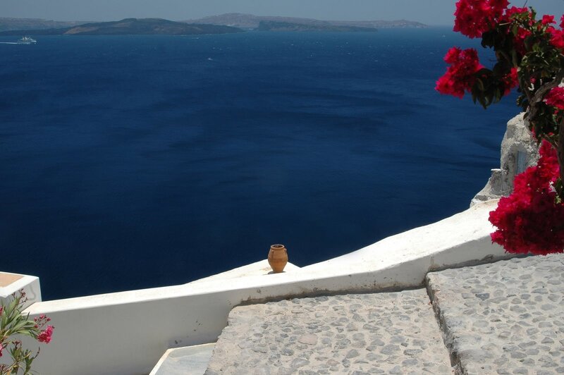 Bougainvillea on Balcony