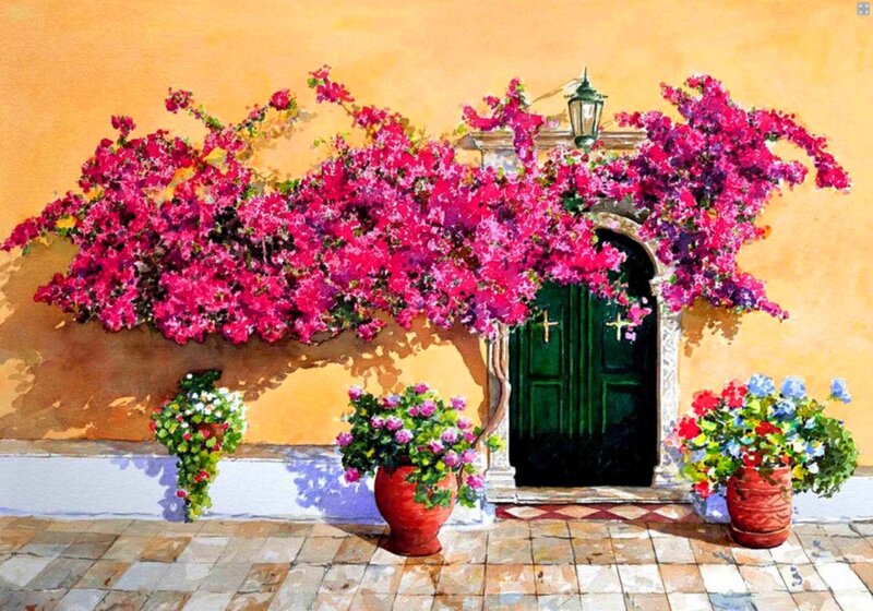 Bougainvillea over Door — Pink
