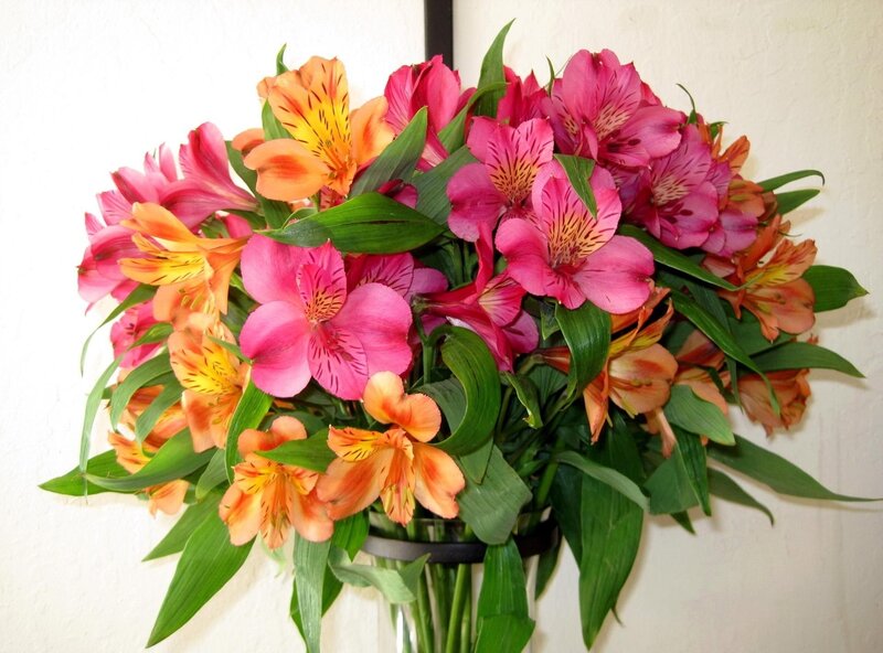 Bouquet of Alstroemeria Flowers — Pink, Calm, Photograph, Green Leaves