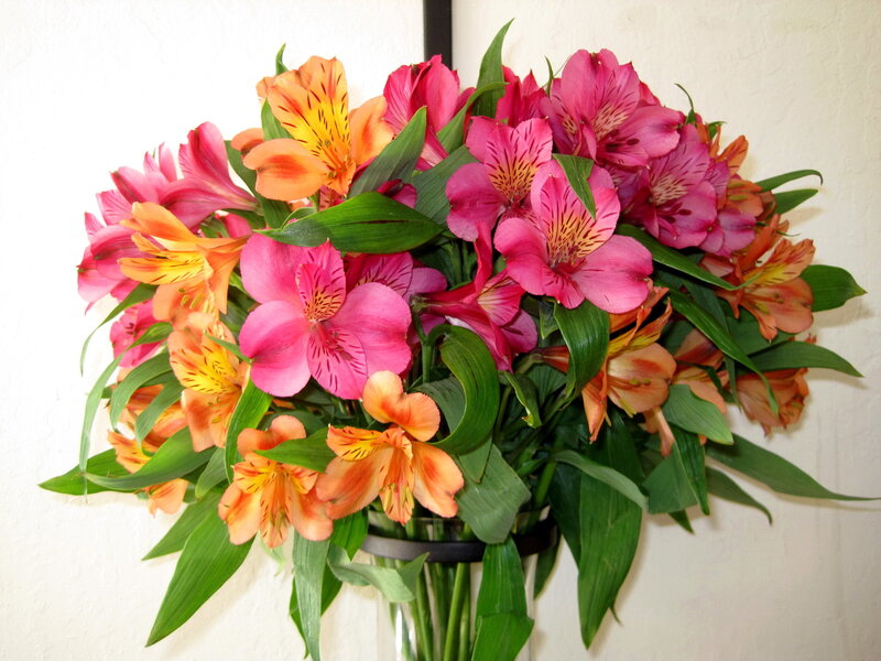 Bouquet of Alstroemeria Flowers — Pink, Calm