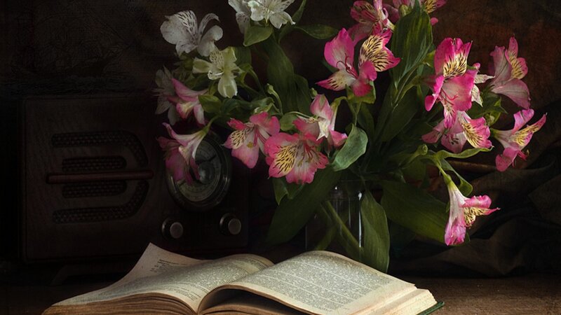 Bouquet of Alstroemeria Flowers — Pink, Dramatic