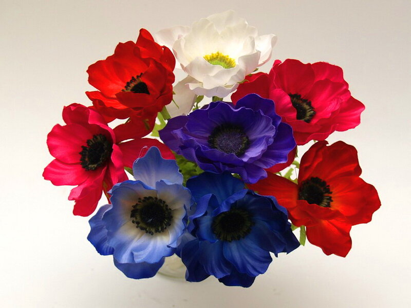 Bouquet of Anemone Flowers — Red