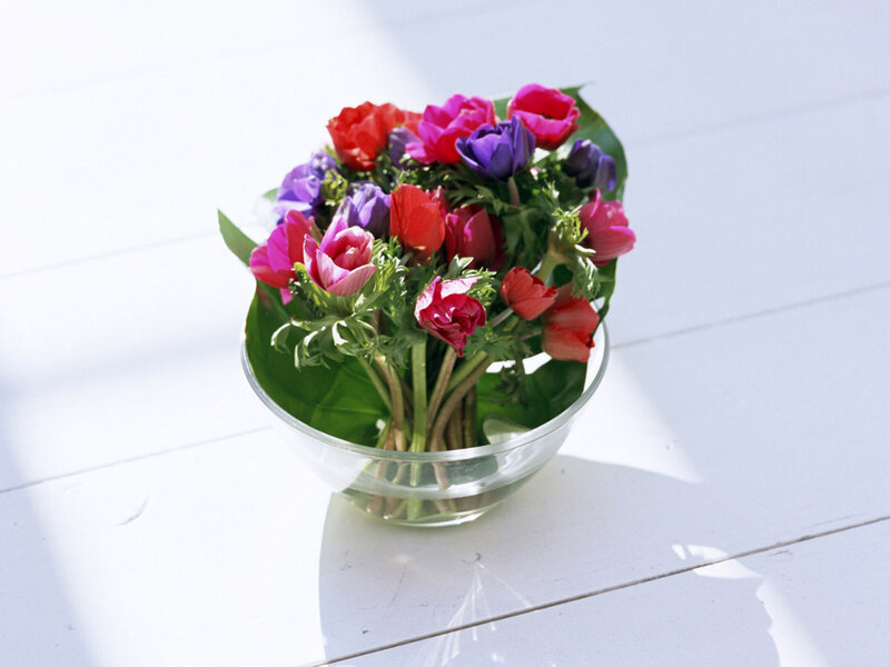 Bouquet of Anemones