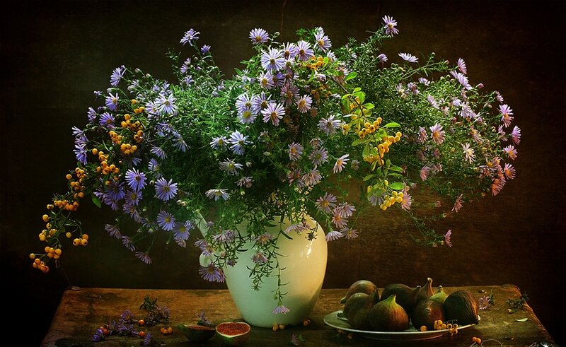 Bouquet of Asters and Figs — Purple
