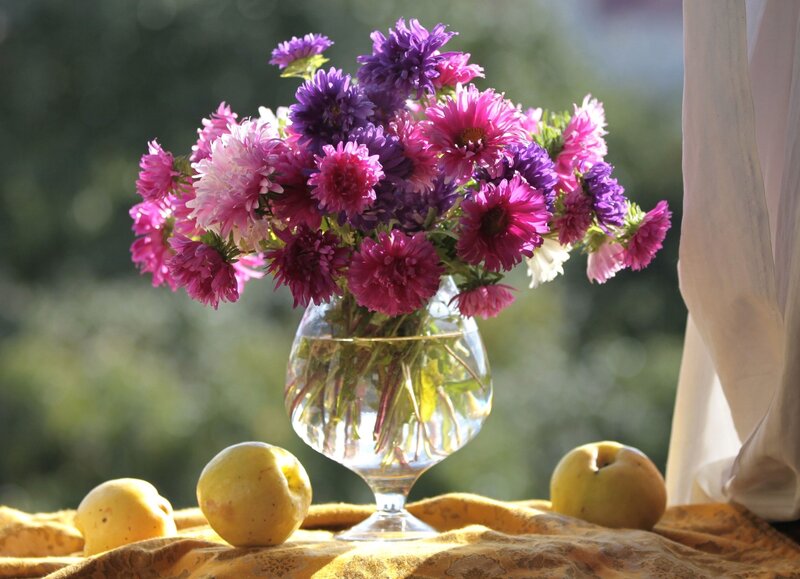 Bouquet of Asters in Vase — Purple, Serene