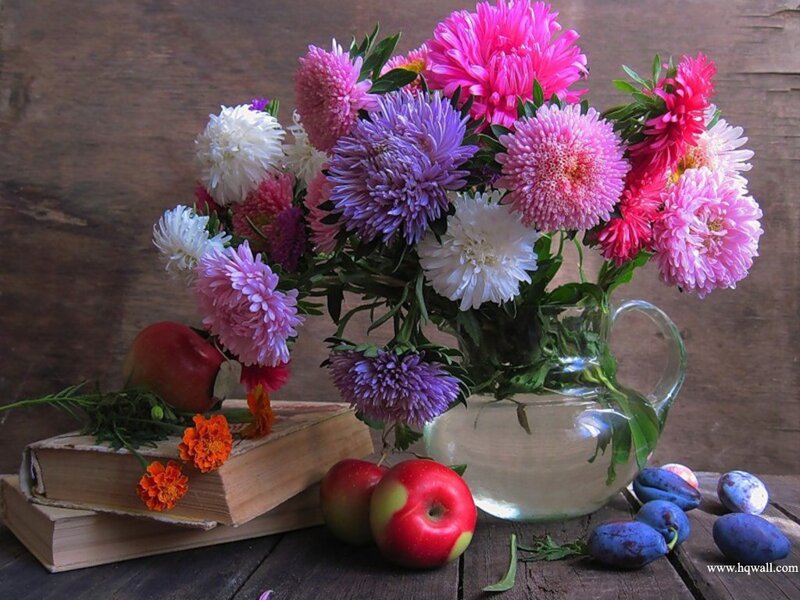Bouquet of Asters in Vase