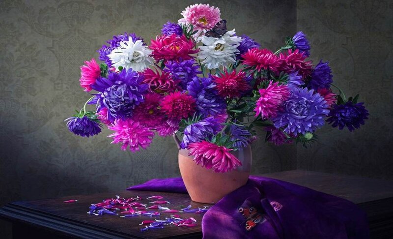Bouquet of Asters — Purple, Dramatic, Photograph