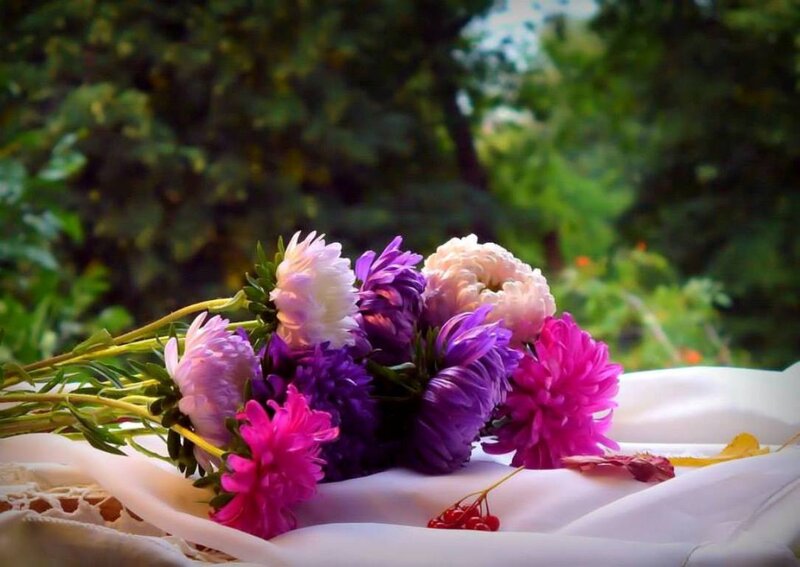 Bouquet of Asters — Purple, Serene