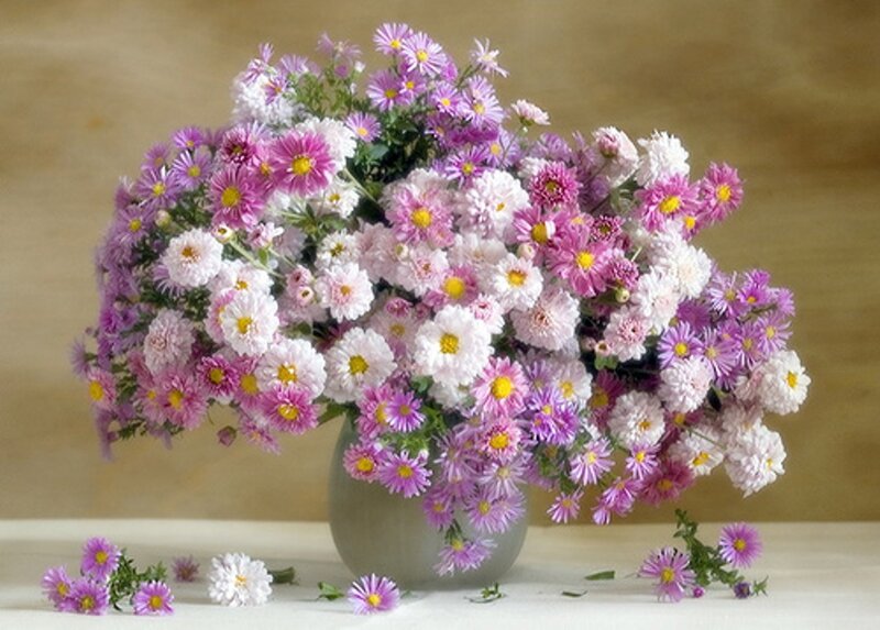 Bouquet of Asters — Purple
