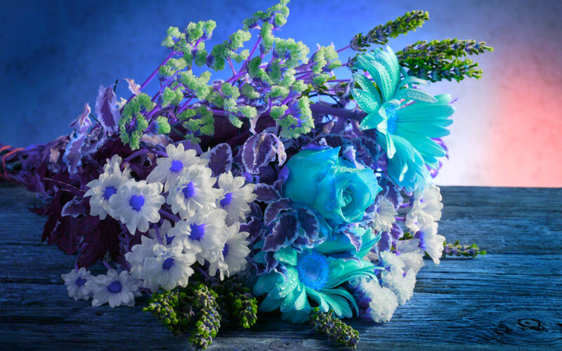 Bouquet of Blue and White Flowers — Dramatic