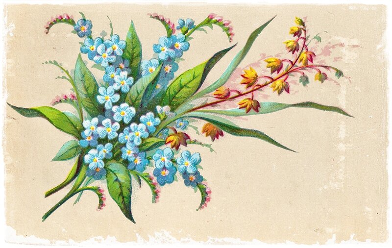 Bouquet of Blue Flowers — Calm