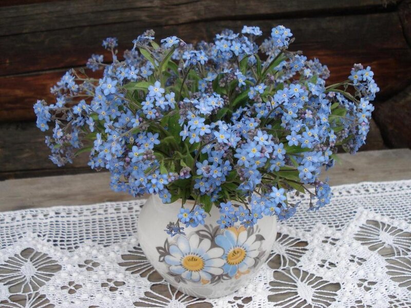 Bouquet of Blue Forget-me-nots