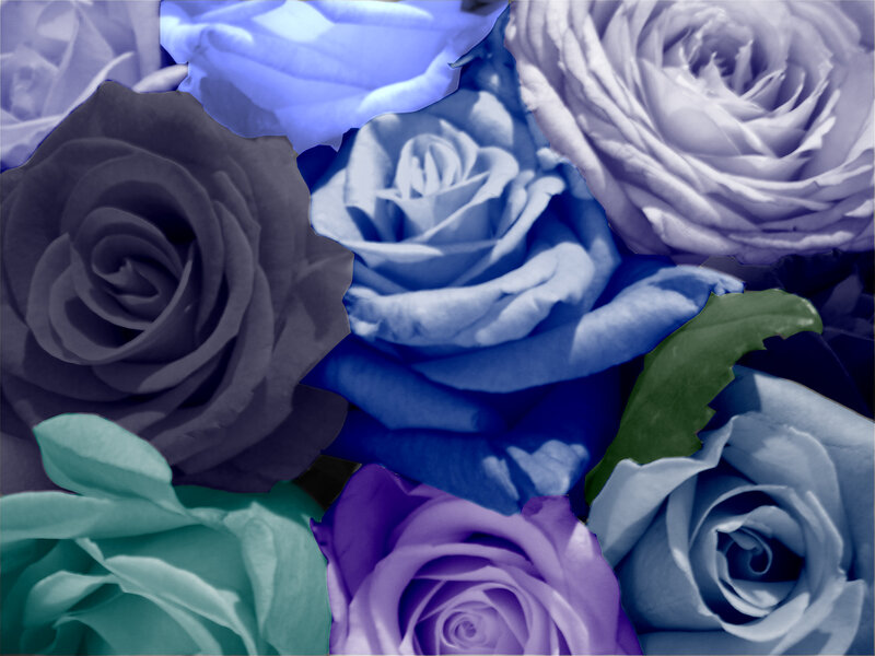 Bouquet of Blue Roses