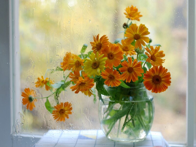 Bouquet of Calendula Flowers