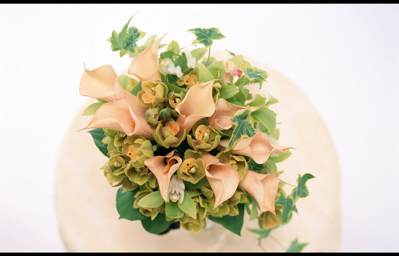 Bouquet of Calla Lilies — Beige