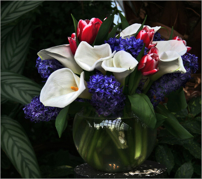 Bouquet of Calla Lilies
