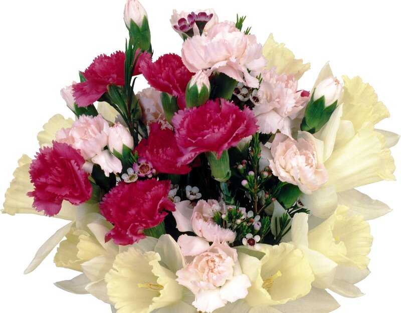Bouquet of Carnations and Daffodils