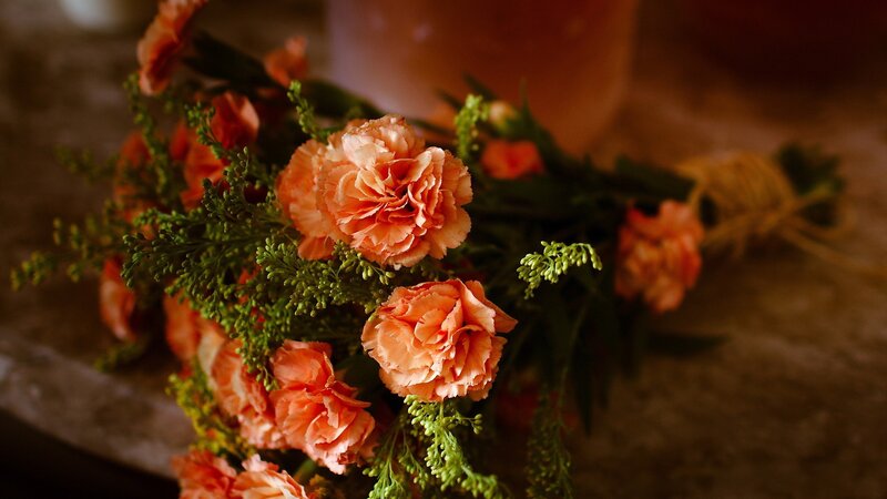 Bouquet of Carnations — Orange, Warm