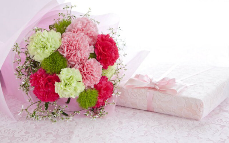 Bouquet of Carnations — Pink, Gentle