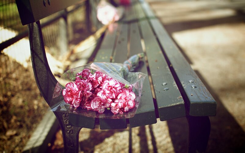 Bouquet of Carnations — Pink, Serene, Afternoon, Photograph