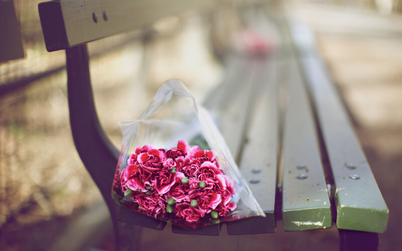 Bouquet of Carnations — Pink, Serene