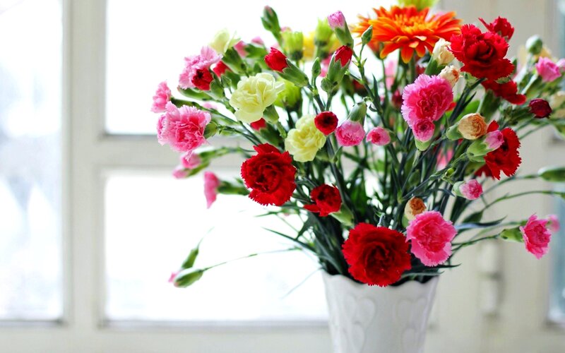 Bouquet of Carnations — Red, Calm