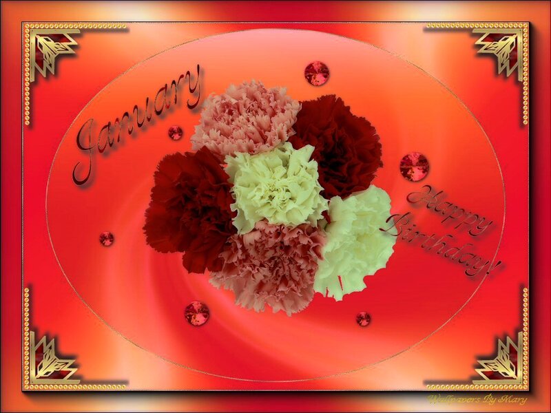 Bouquet of Carnations — Red, Celebratory