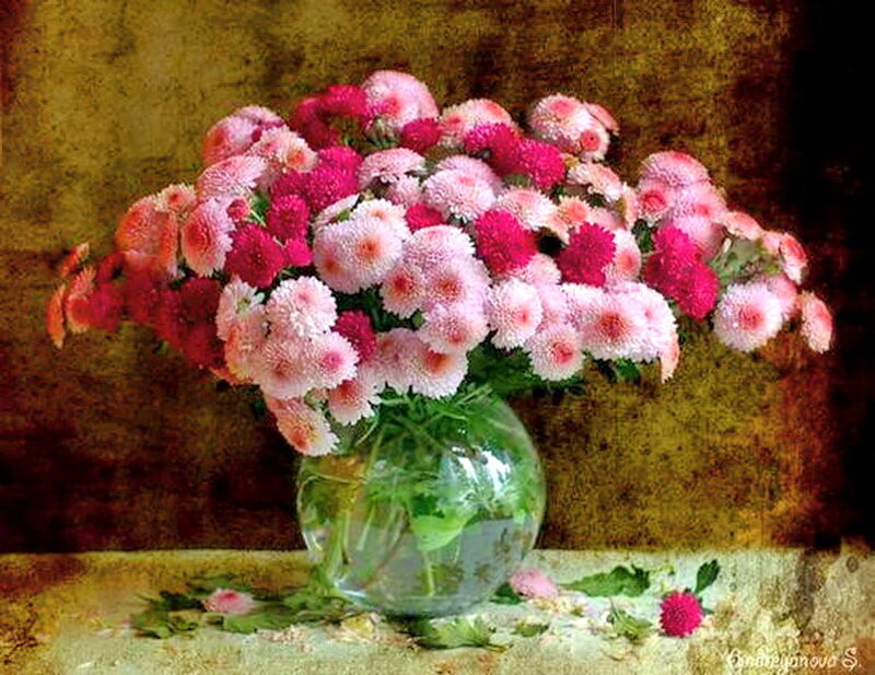 Bouquet of Chrysanthemums — Pink, Calm