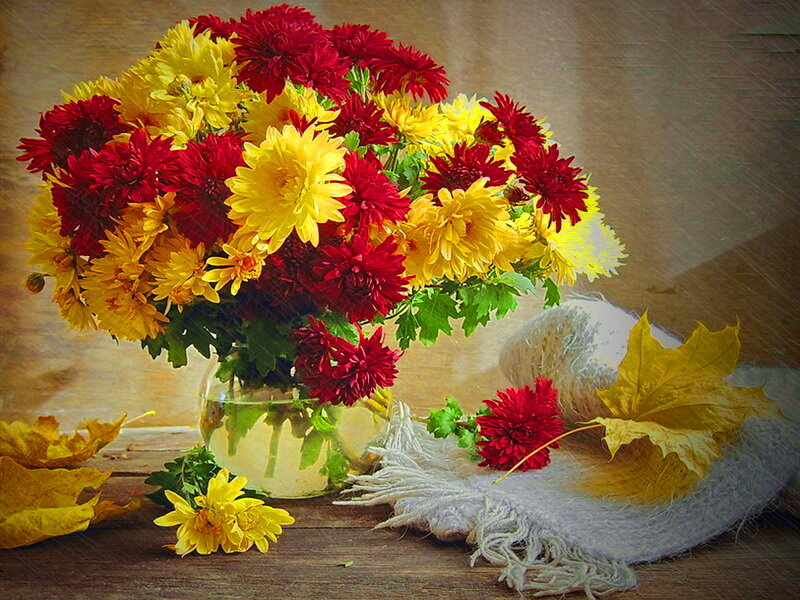 Bouquet of Chrysanthemums — Red, Calm
