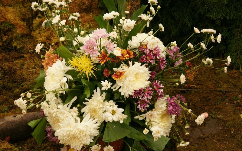 bouquet of chrysanthemums