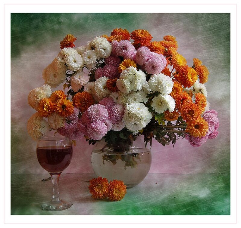 Bouquet of Chrysanthemums — White, Calm