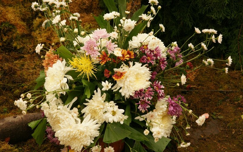 Bouquet of Chrysanthemums — White, Somber