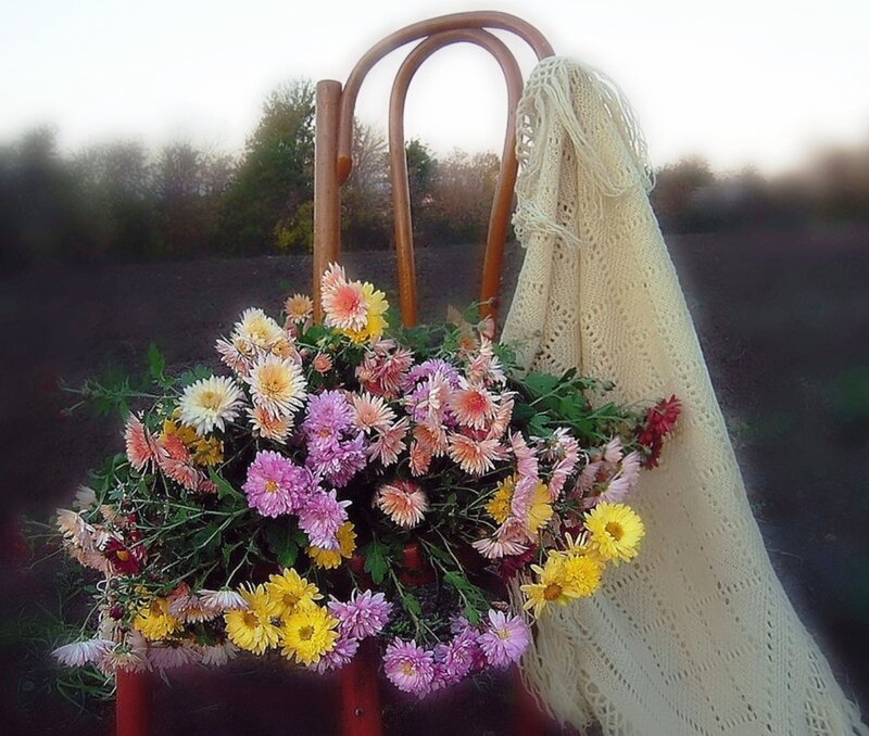 Bouquet of Chrysanthemums — Yellow, Serene, Autumn