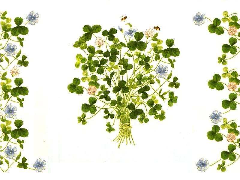 Bouquet of Clover and Flowers