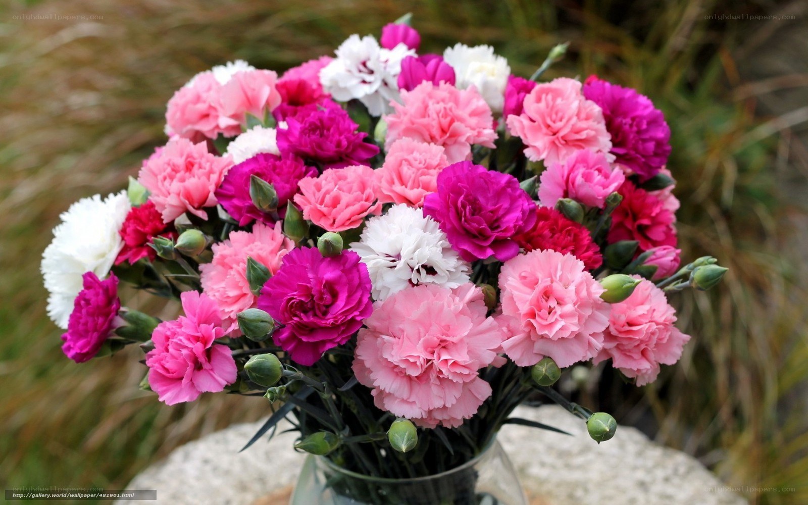 bouquet of colorful carnations