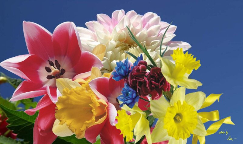 Bouquet of Colorful Flowers — Blue, Vibrant