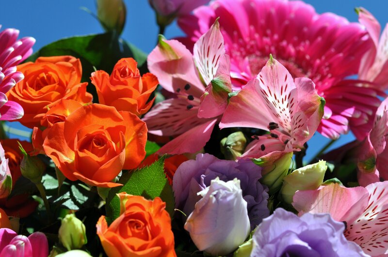 Bouquet of Colorful Flowers — Orange, Vibrant