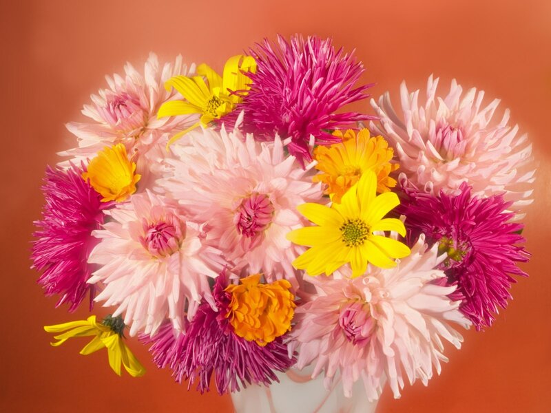 Bouquet of Colorful Flowers — Pink, Bright