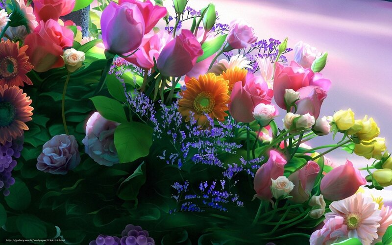 Bouquet of Colorful Flowers — Pink, Vibrant