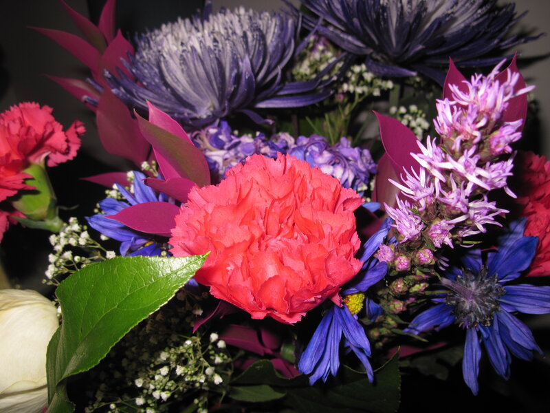 Bouquet of Colorful Flowers — Red, Vibrant