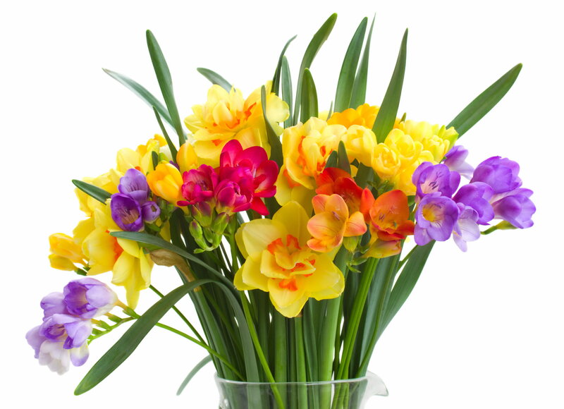 Bouquet of Colorful Flowers — Yellow, Bright